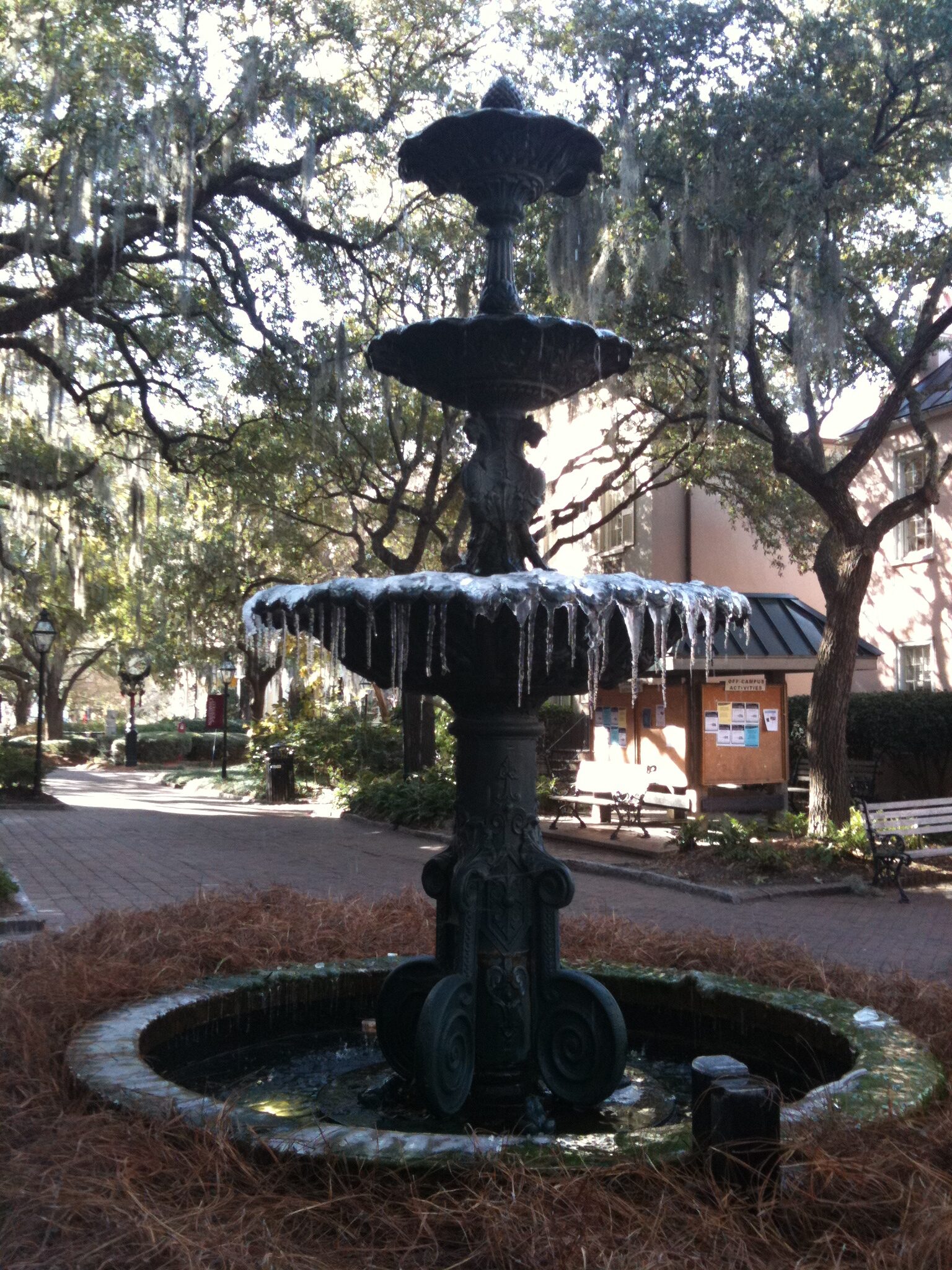 Winter in downtown Charleston--a frpzen fountain